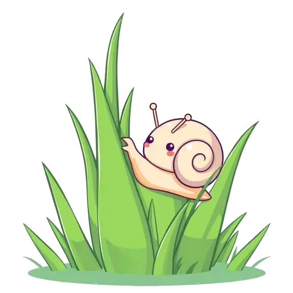 About Snailcomedy.Com